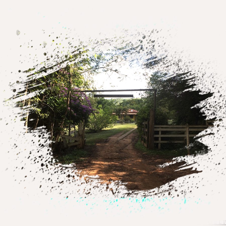 A porteira e a estrada da Fazenda Pinheirense